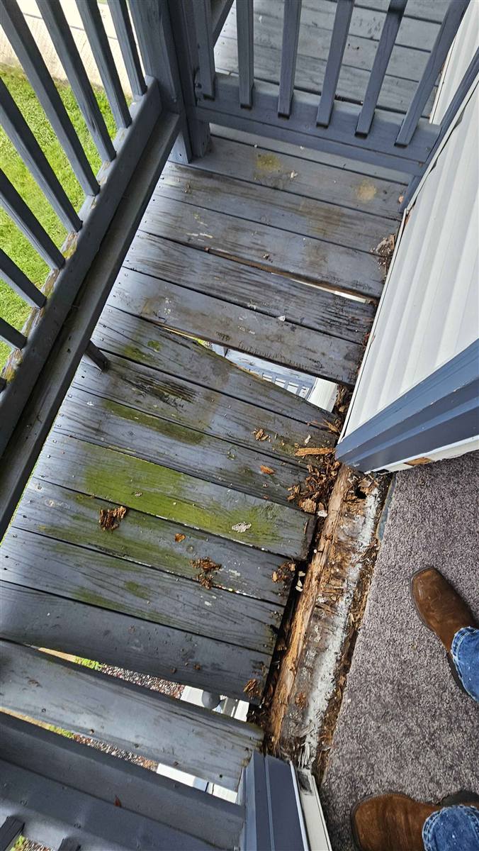 Balcony before, with rotted moss-covered deck boards along the railing